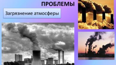 Photo of Часто встречающиеся проблемы с душевыми кабинами и их решение