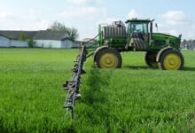 Photo of Лучшие способы ухода за смесителем и душевой кабиной