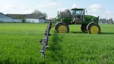 Photo of Лучшие способы ухода за смесителем и душевой кабиной